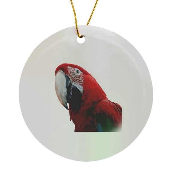 3drose, Close-up of a Green Winged Macaw Parrot Cut Out, Circle Porcelain Ornament