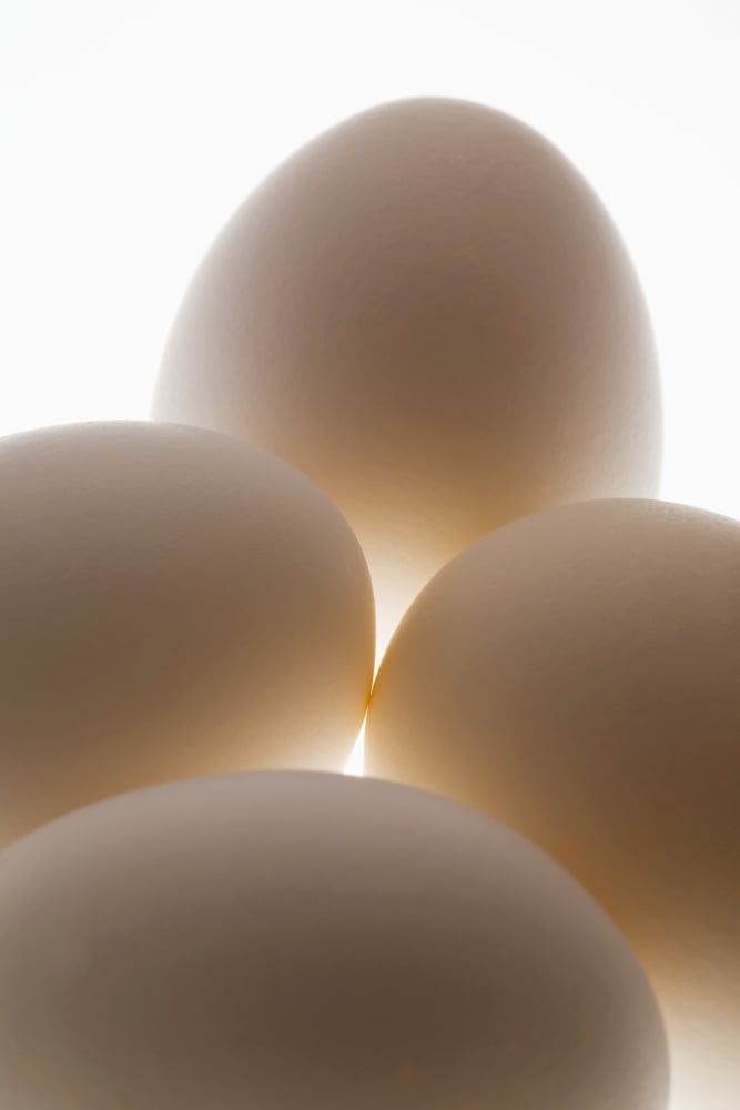 Close Up Of A Group Of Eggs Calgary Alberta Canada Canvas Art - Michael Interisano Design Pics (12 x 19)