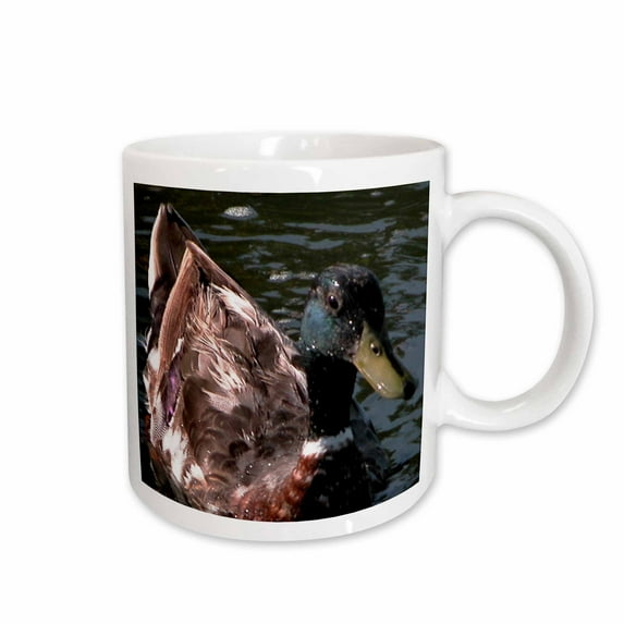 3drose, Close Up of a Mallard Duck, 11oz Mug