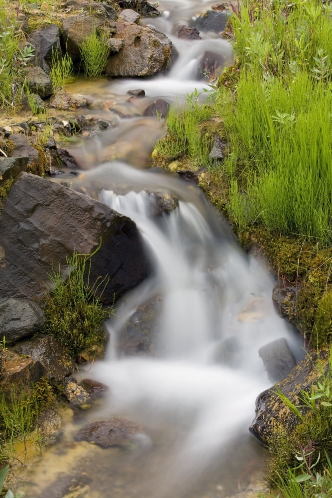 Close Up Of A Small Stream & Cascade In Denali National Park During Mid Summer In Alaska Canvas Art - Gary Schultz Design Pics (11 x 17)
