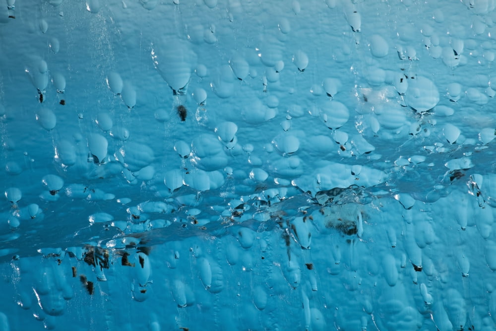 Close Up Of Air Bubbles In Iceberg Endicott Arm Southeast Alaska Summer Canvas Art - Ray Bulson Design Pics (19 x 12)