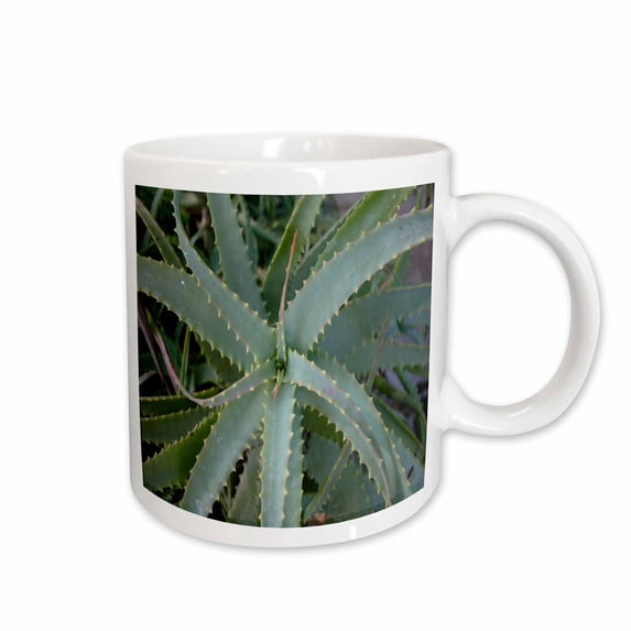 3drose, Close up of Aloe Vera Plant, 11oz Mug