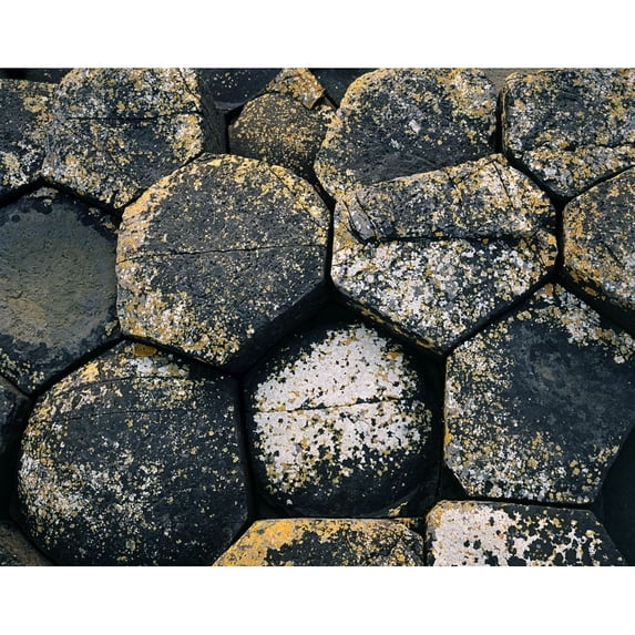 Close-Up Of Basaltic Rocks Giant's Causeway County Antrim Northern Ireland by The Irish Image Collection / Design Pics