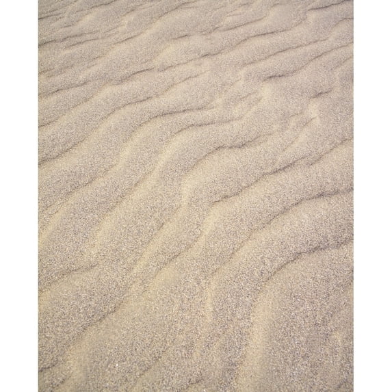 Close-Up Of Beach Sand by The Irish Image Collection / Design Pics (26 x 34)