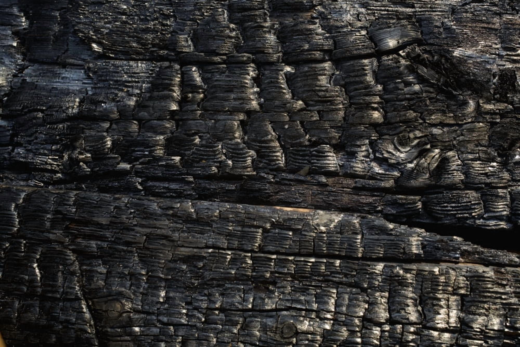 Close-Up Of Charred Wood Canvas Art - David Chapman Design Pics (18 x 12)