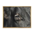 thumbnail image 1 of Close-Up Of Cow Eye 32 in x 16 in Framed Painting Canvas Art Print, by Designart, 1 of 5