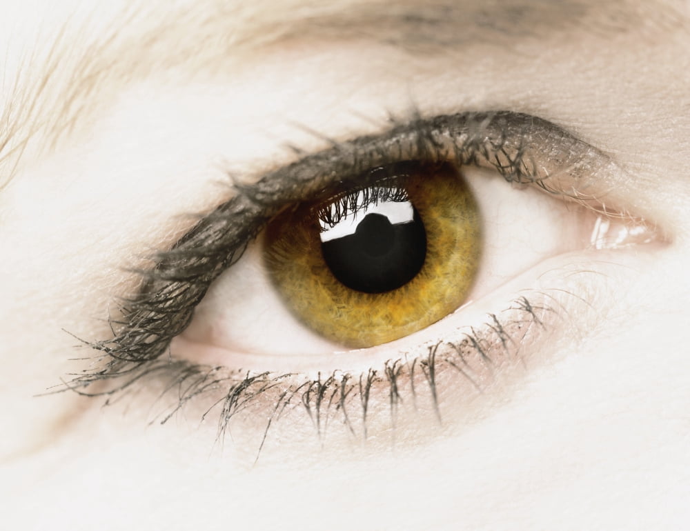 Close Up Of Eye Canvas Art - Darren Greenwood Design Pics (30 x 24)