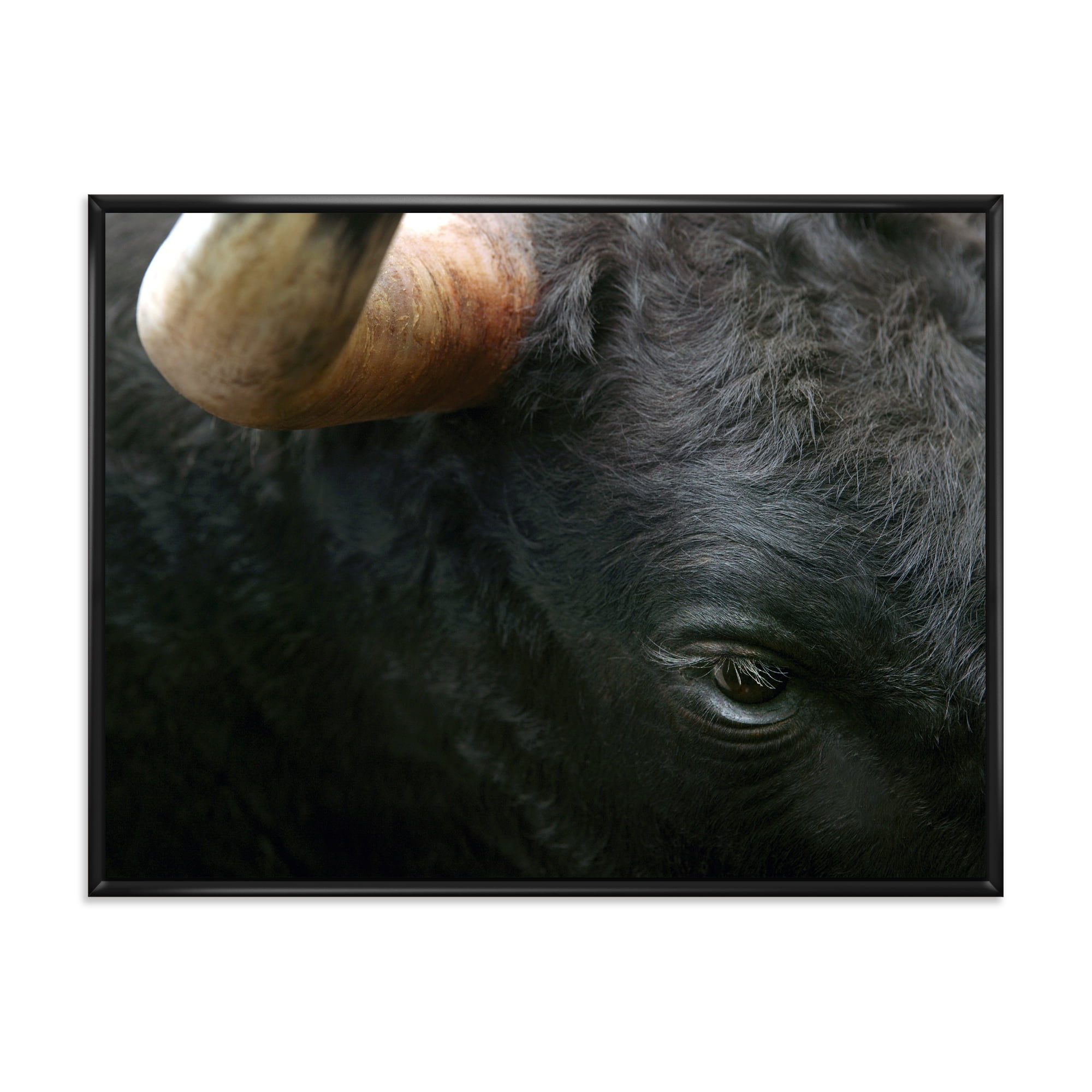 Close-Up Of Eye Fighting Bull Head 32 in x 24 in Framed Photography Canvas Art Print, by Designart