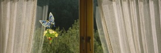 Close-Up Of Flowers And A Butterfly Painted On A Window Germany Canvas Art - Panoramic Images (36 x 12)
