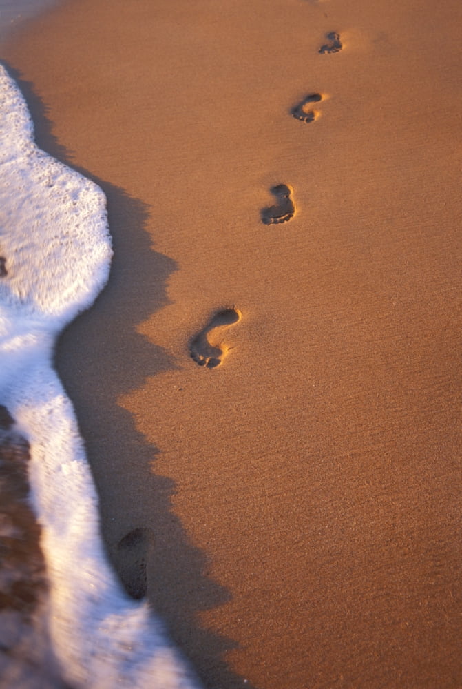 Close-Up Of Footprints In The Sand Along Shoreline Golden Afternoon With Shadows Canvas Art - Tomas del Amo Design Pics (11 x 17)