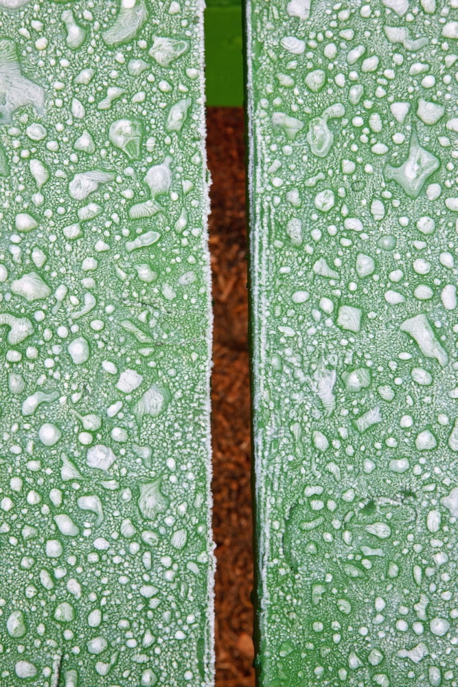 Close-Up Of Frost On Picnic Table At Wooden Shoe Tulip Farm Woodburn Oregon Canvas Art - Craig Tuttle Design Pics (12 x 19)