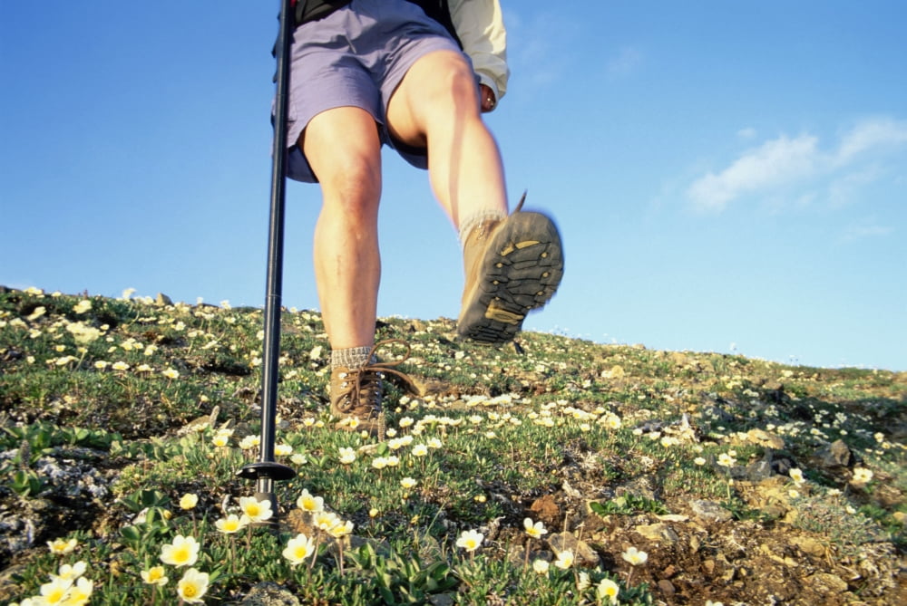 Close Up Of Hikers Boot & Walking Stick Sc Alaska Canvas Art - Michael DeYoung Design Pics (17 x 11)