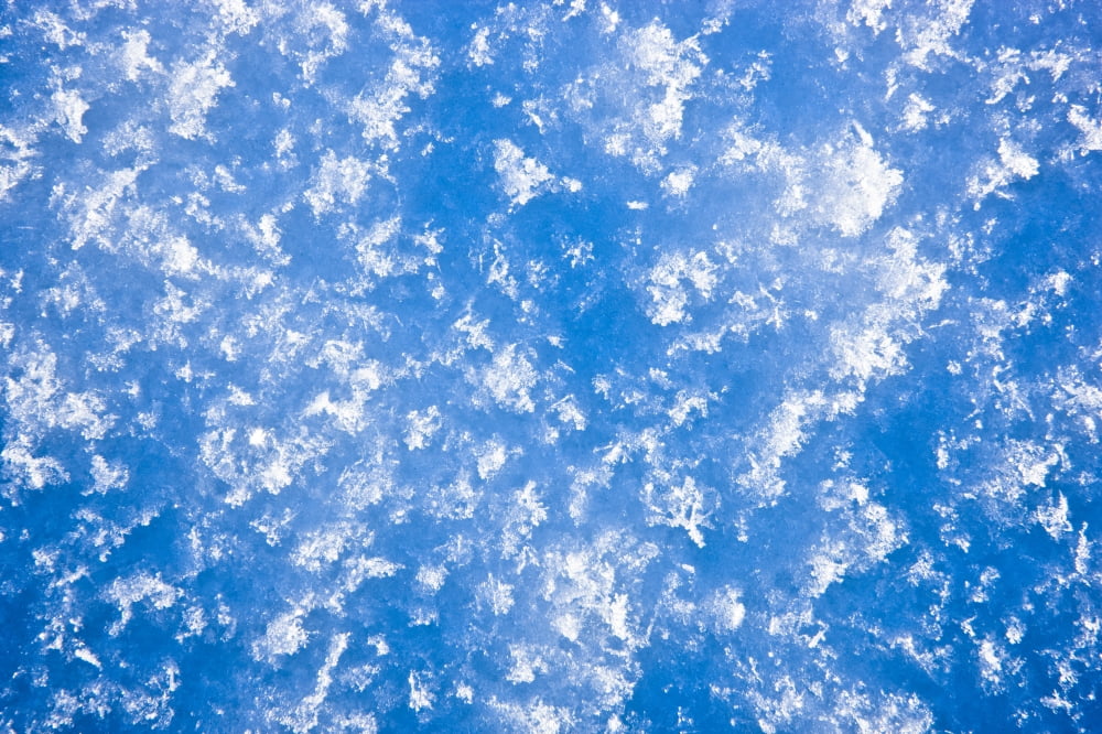 Close Up Of Hoarfrost Detail Alaska Canvas Art - Kevin Smith Design Pics (34 x 22)