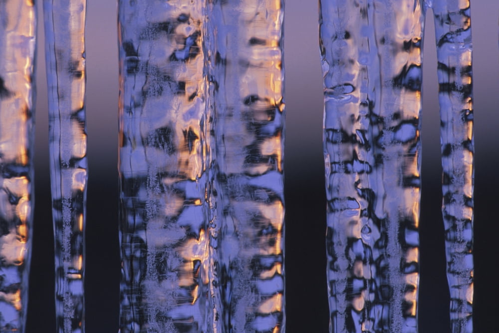 Close-Up Of Icicles W Sun Shining Through In Winter Canvas Art - Michael DeYoung Design Pics (34 x 22)