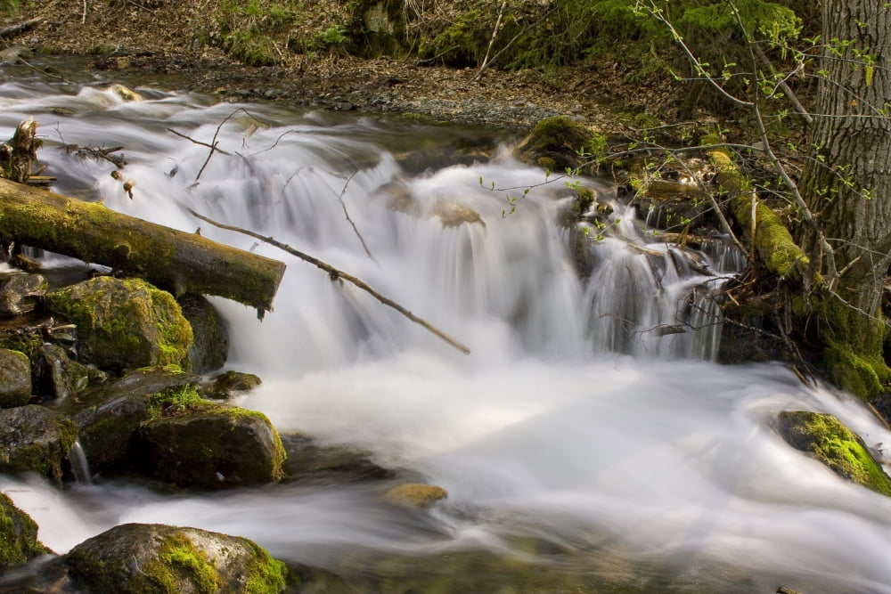 Close Up Of Mchugh Creek Just South Of Anchorage Alaska Canvas Art - Michael Criss Design Pics (34 x 22)