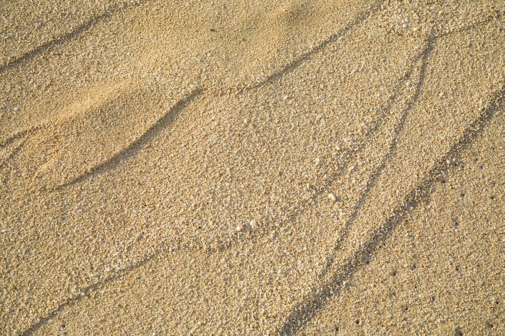 Close-Up Of Patterns In Sand Canvas Art - Dana Edmunds  Design Pics (34 x 22)