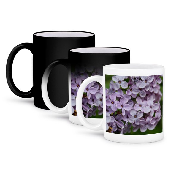 3drose, Close up of Persian Lilac Blossom, 11oz Magic Transforming Mug