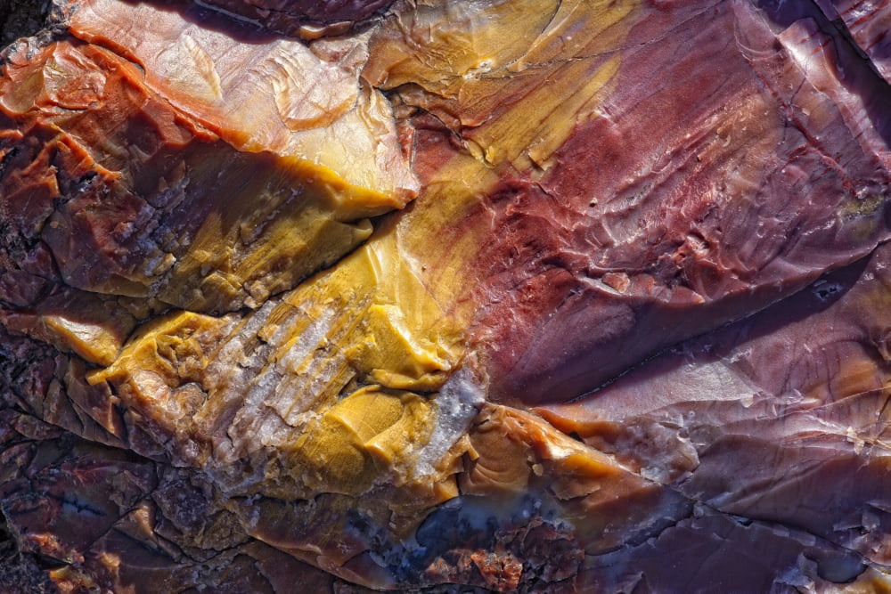 Close Up Of Petrified Wood Petrified Forest National Park Utah Canvas Art - Robert Postma Design Pics (17 x 11)