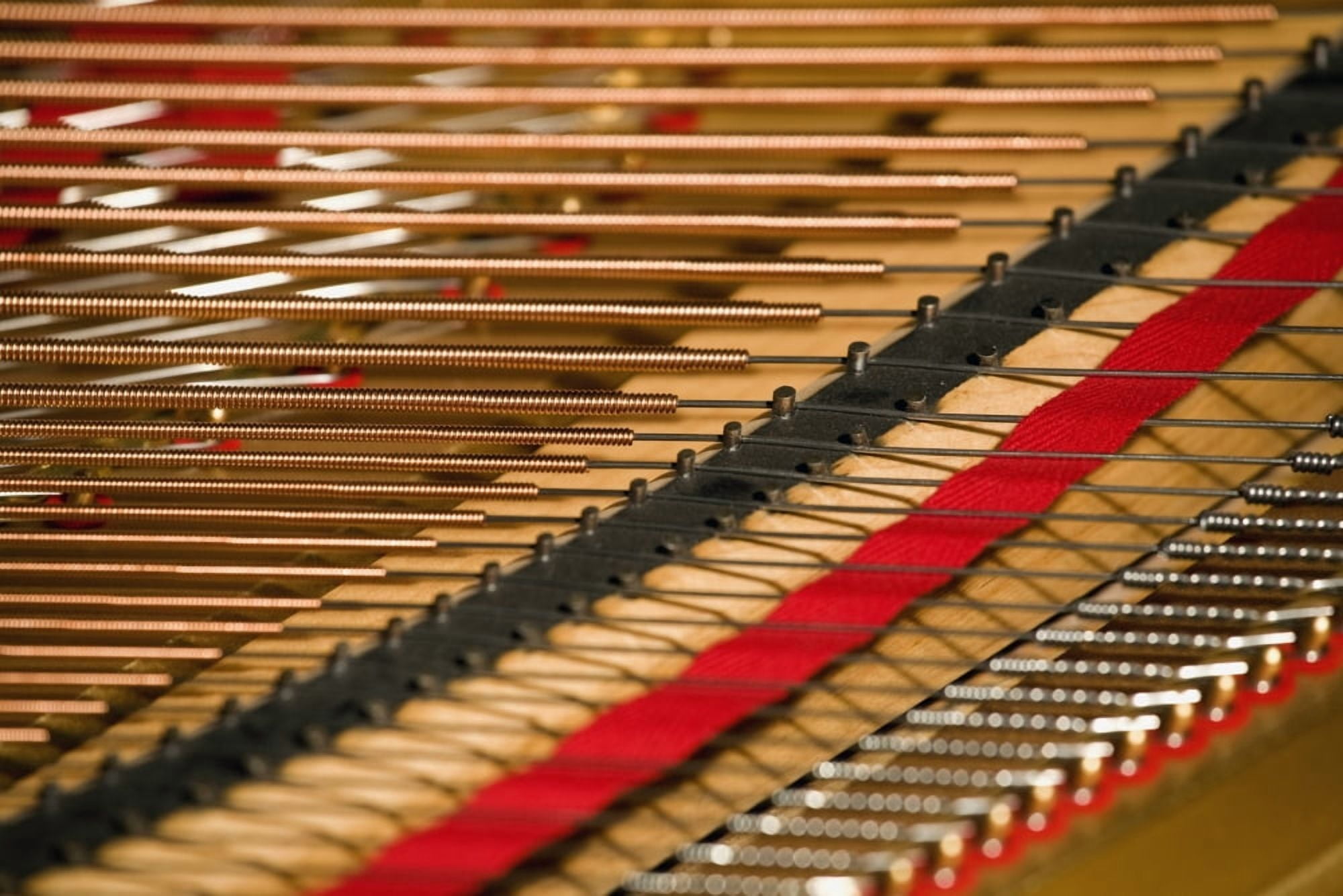Close Up Of Piano Strings Canvas Art - David Chapman Design Pics (18 x 12)