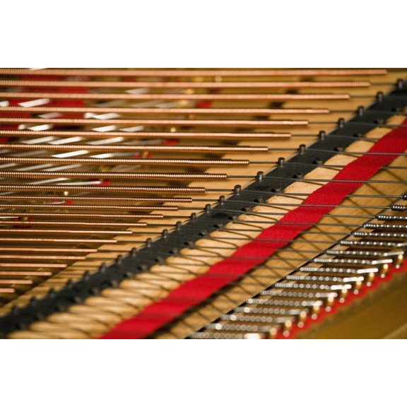 Close Up Of Piano Strings Canvas Art - David Chapman Design Pics (18 x 12)
