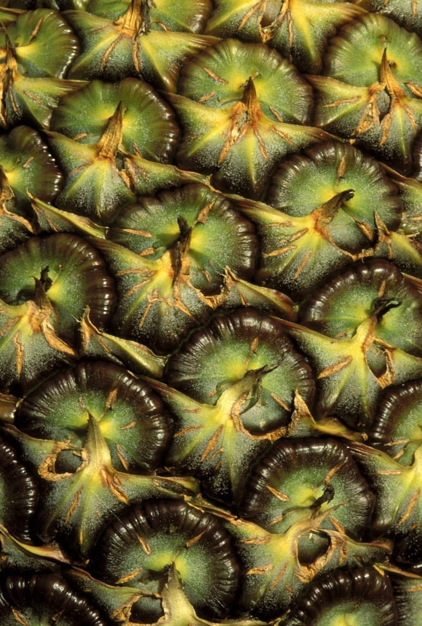 Close-Up Of Pineapple Skin With Beautiful Texture Canvas Art - Greg Vaughn Design Pics (11 x 17)
