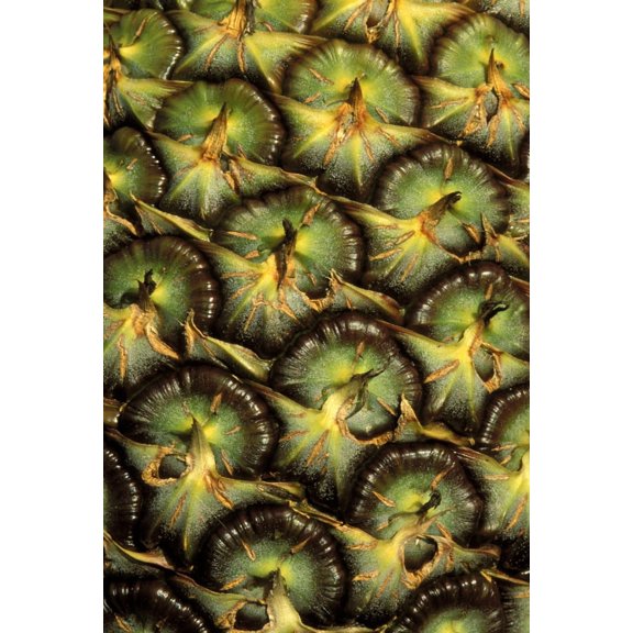 Close-Up Of Pineapple Skin With Beautiful Texture Canvas Art - Greg Vaughn Design Pics (22 x 34)