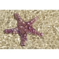 thumbnail image 1 of Close-Up Of Purple Starfish Seen Through Crystal Clear Rippling Water Poster Print (17 x 11), 1 of 3