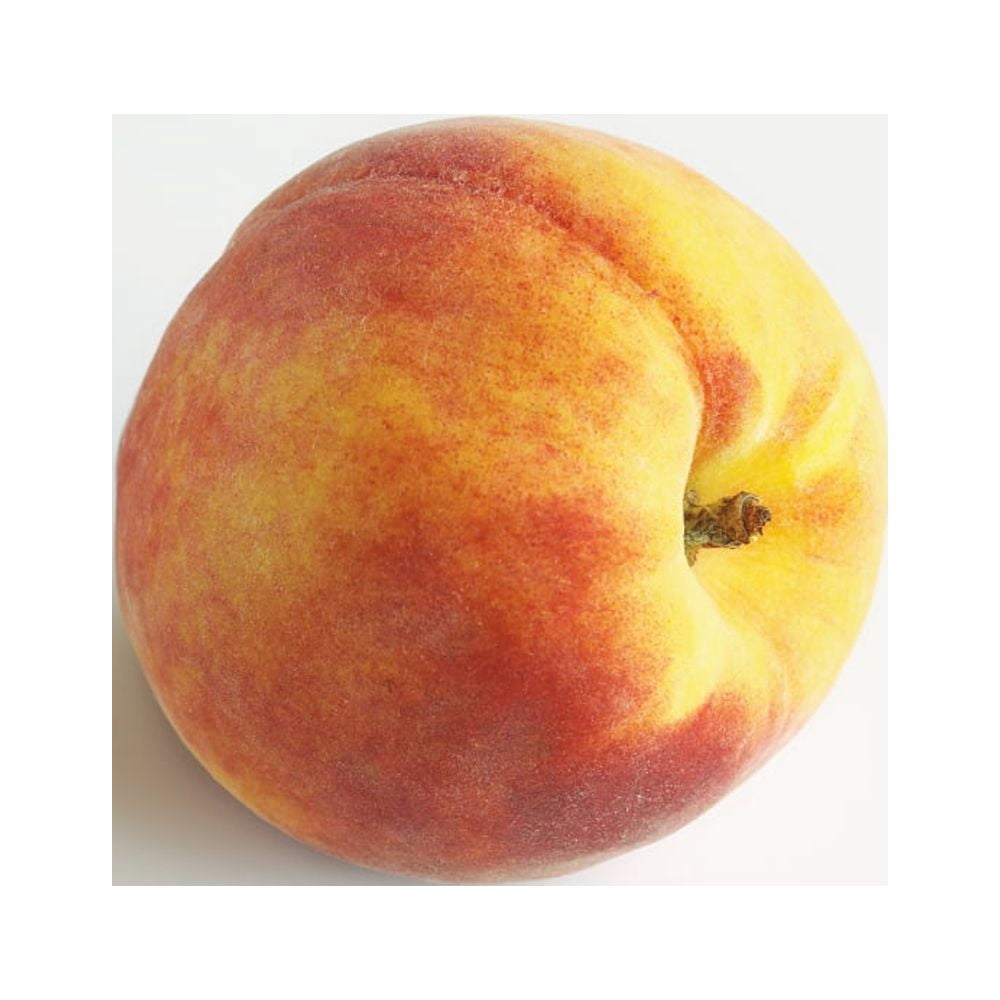 Close-Up Of Ripe Peach On White Background Canvas Art - Bruno Crescia Design Pics (15 x 15)