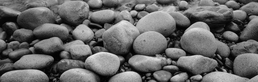 Close-Up Of Rocks Acadia National Park Maine USA Canvas Art - Panoramic Images (36 x 12)