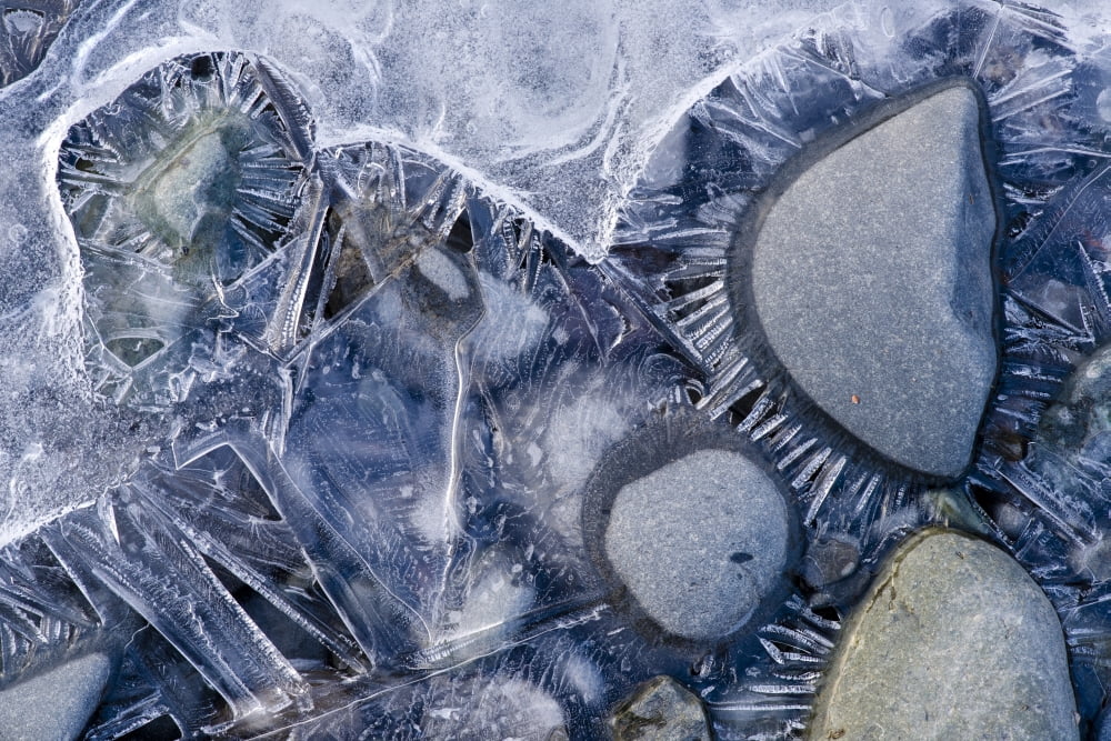 Close Up Of Small Rocks Frozen In Ice Chugach State Park Southcentral Alaska Winter Canvas Art - Carl R Battreall Design Pics (38 x 24)
