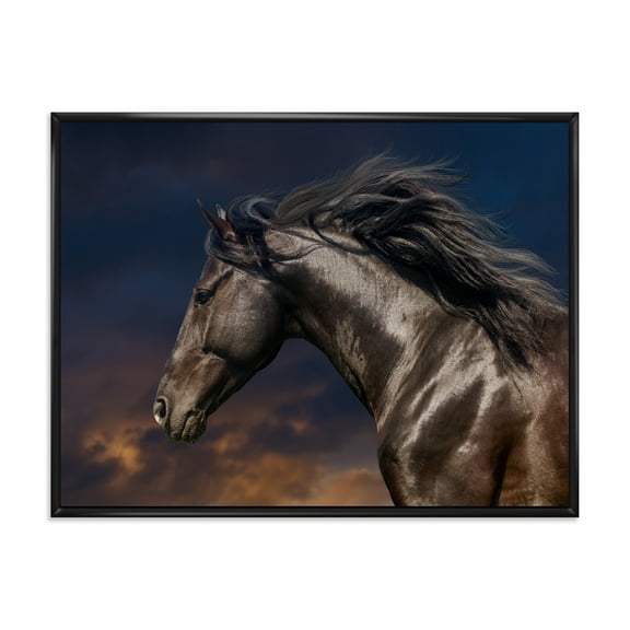Close Up Of Thoroughbred Nonius Stallion Horse III 20 in x 12 in Framed Painting Canvas Art Print, by Designart