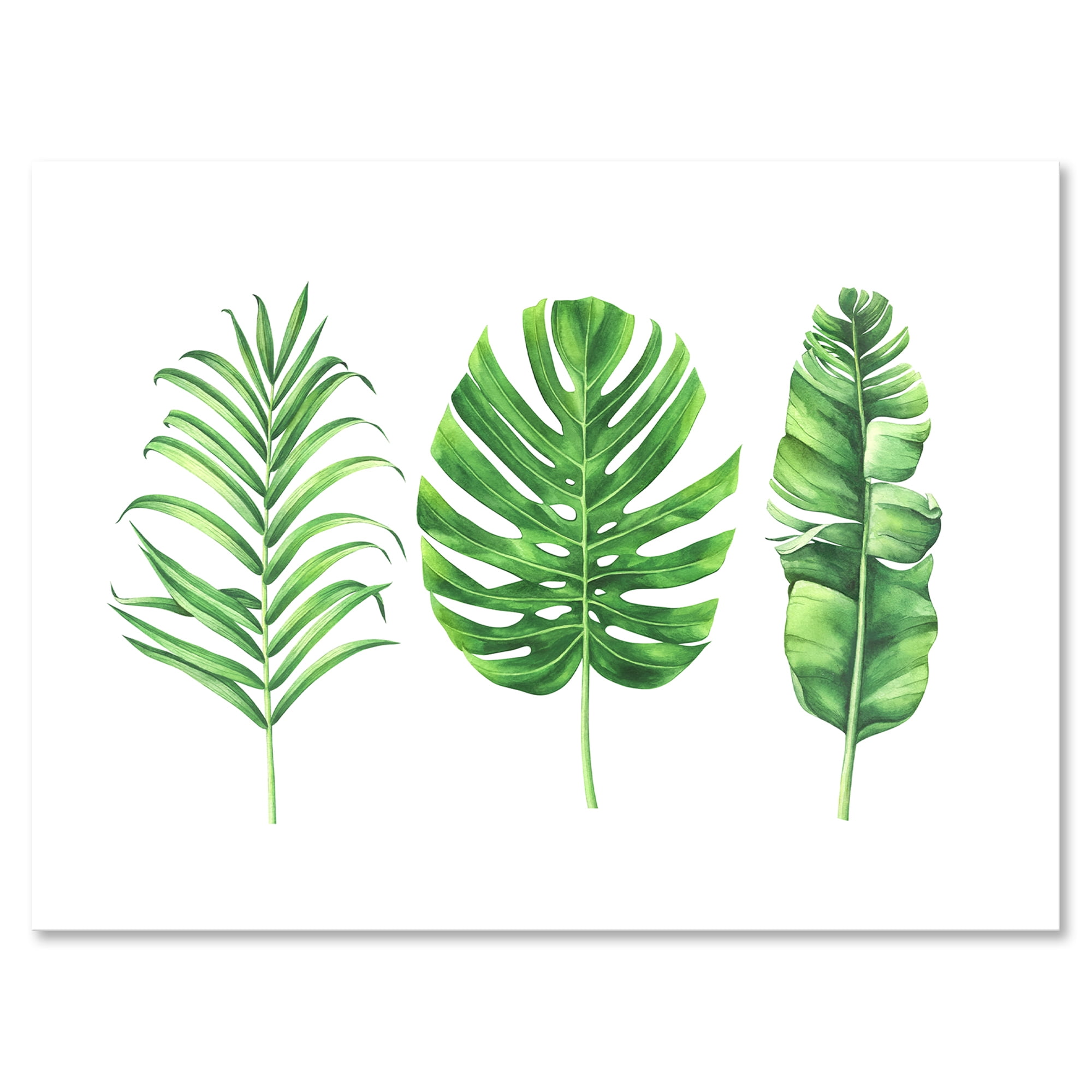 Green Tropical Leaf Monstera Canvas Art Print with Wood Frame, 8 x 12 Inches
