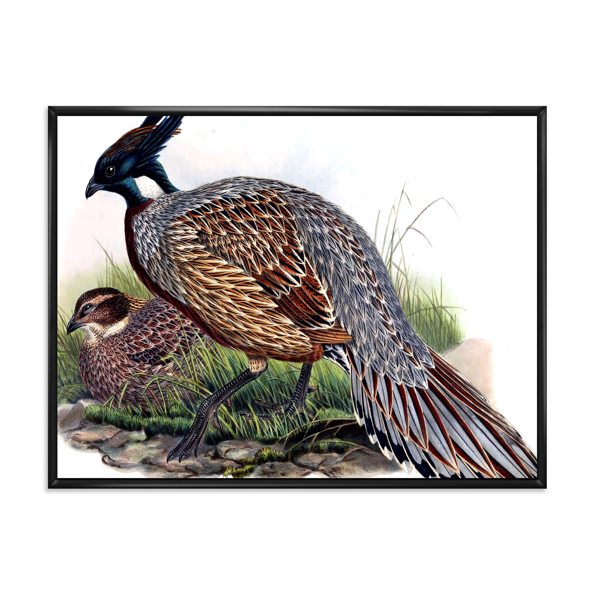 Close Up Of Vintage Countryside Birds 32 in x 16 in Framed Painting Canvas Art Print, by Designart