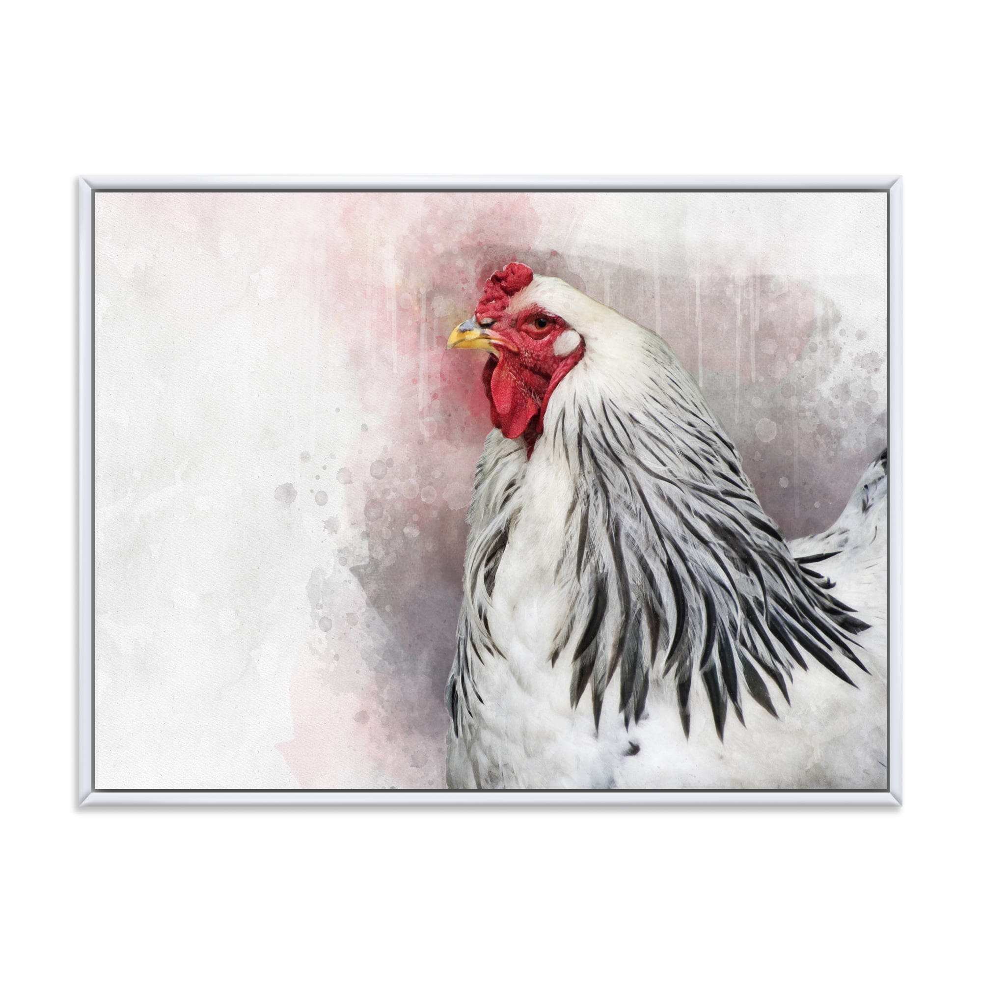 Close Up Of White Columbia Brahma Rooster Bird 20 in x 12 in Framed Painting Canvas Art Print, by Designart