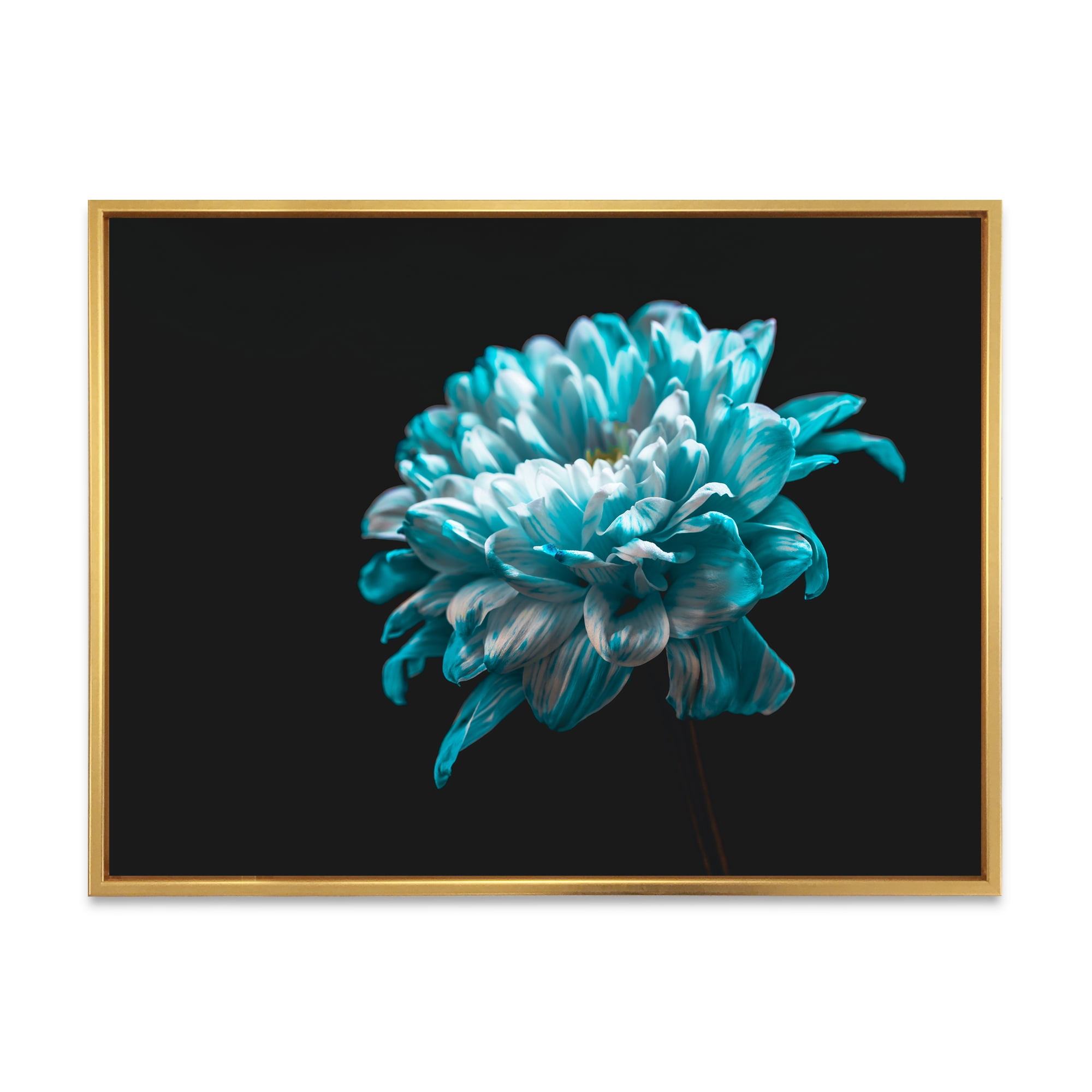 Close Up Of White and Pure Blue Daisy Flower II 40 in x 30 in Framed Photography Canvas Art Print, by Designart