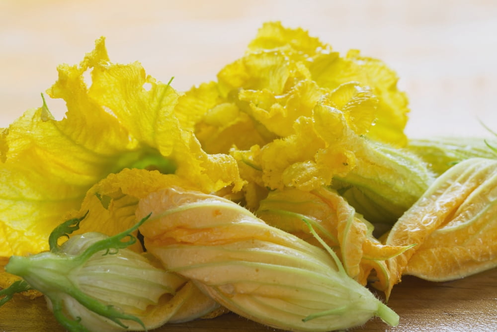Close Up Of Zucchini Blossoms With Water Drops On Wooden Cutting Board Calgary Alberta Canada Canvas Art - Michael Interisano Design Pics (19 x 12)