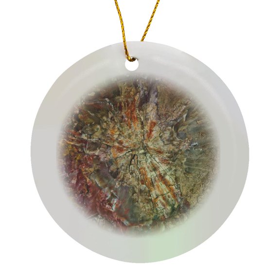 3drose, Close-up, Petrified Logs, Petrified Forest Np, Holbrook, Arizona, Usa, Circle Porcelain Ornament