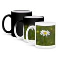 thumbnail image 1 of 3dRose, Close Up Photo Of Single Daisy, 11oz Magic Transforming Mug, 1 of 8