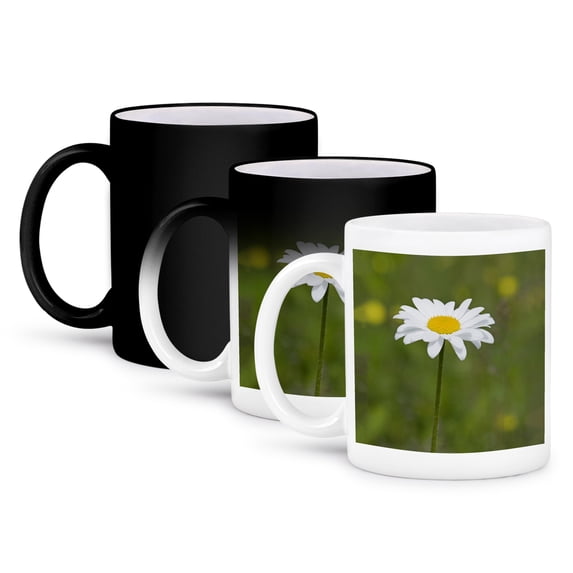 3dRose, Close Up Photo Of Single Daisy, 11oz Magic Transforming Mug