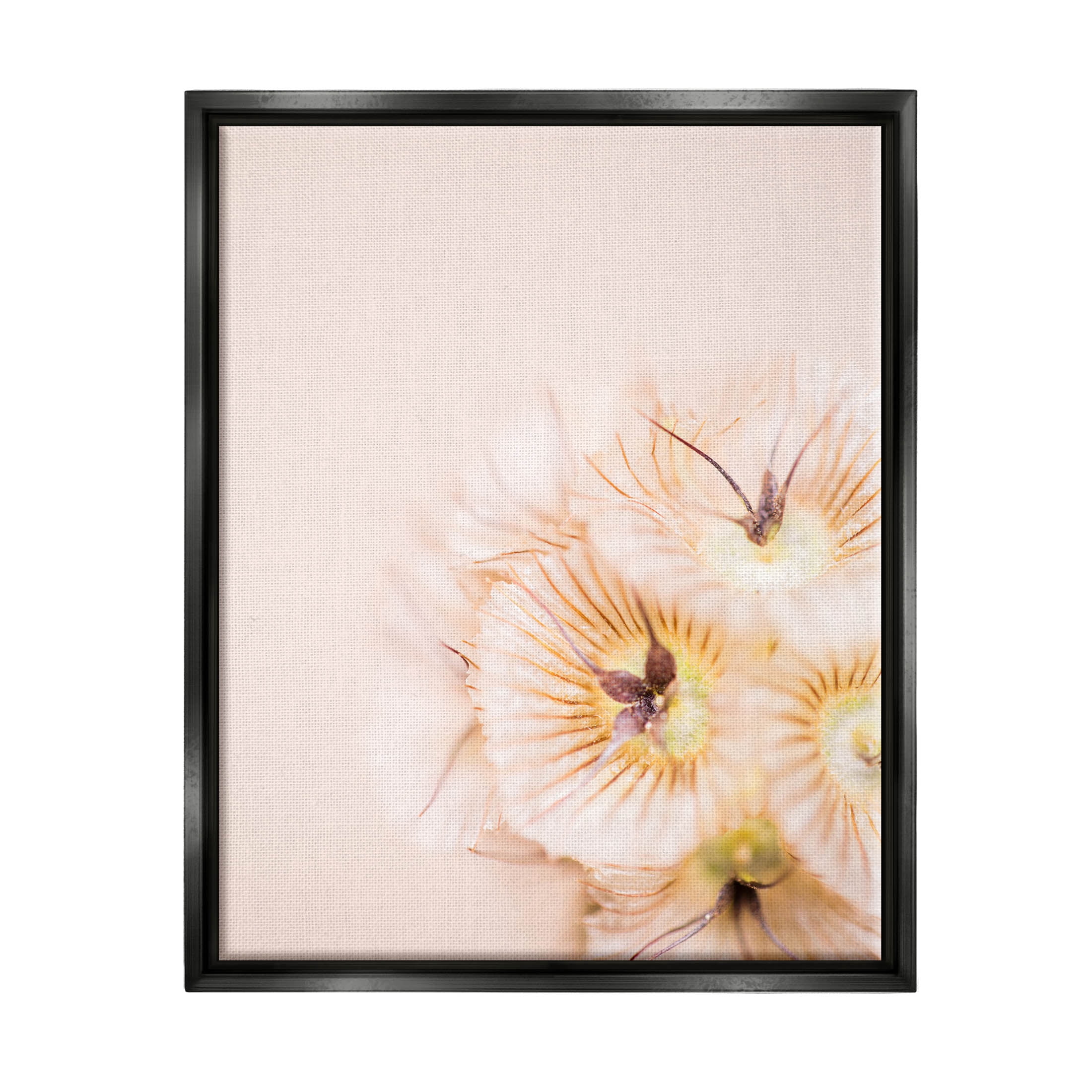 Close Up Pink Flower Anther Botanical & Floral Photograph Jet Black Framed Art Print Wall Art