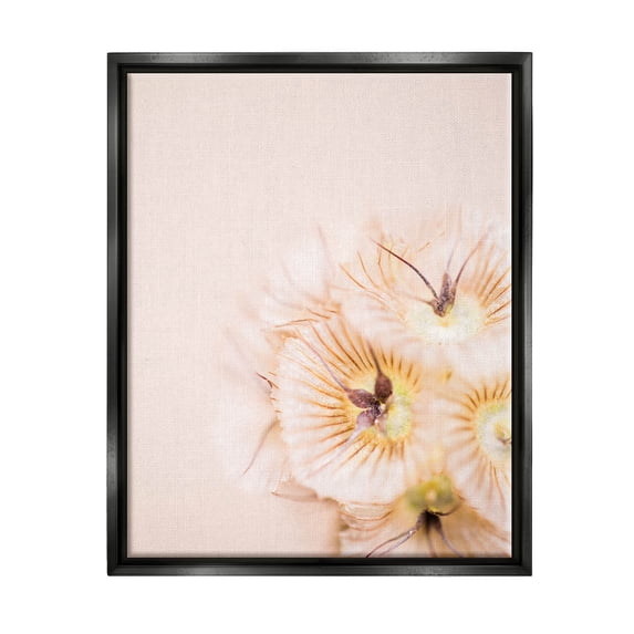 Close Up Pink Flower Anther Botanical & Floral Photograph Jet Black Framed Art Print Wall Art