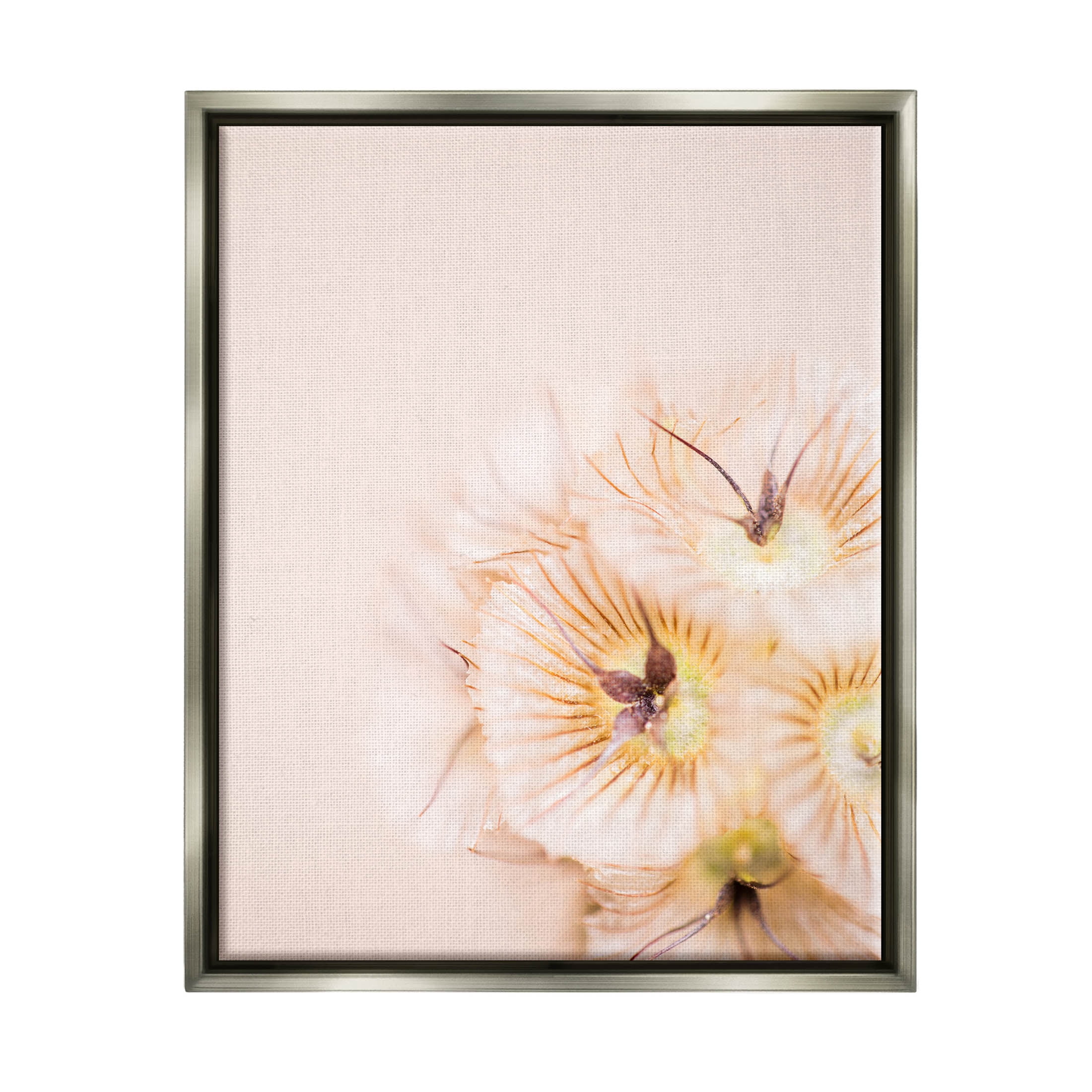 Close Up Pink Flower Anther Botanical & Floral Photograph Luster Gray Framed Art Print Wall Art