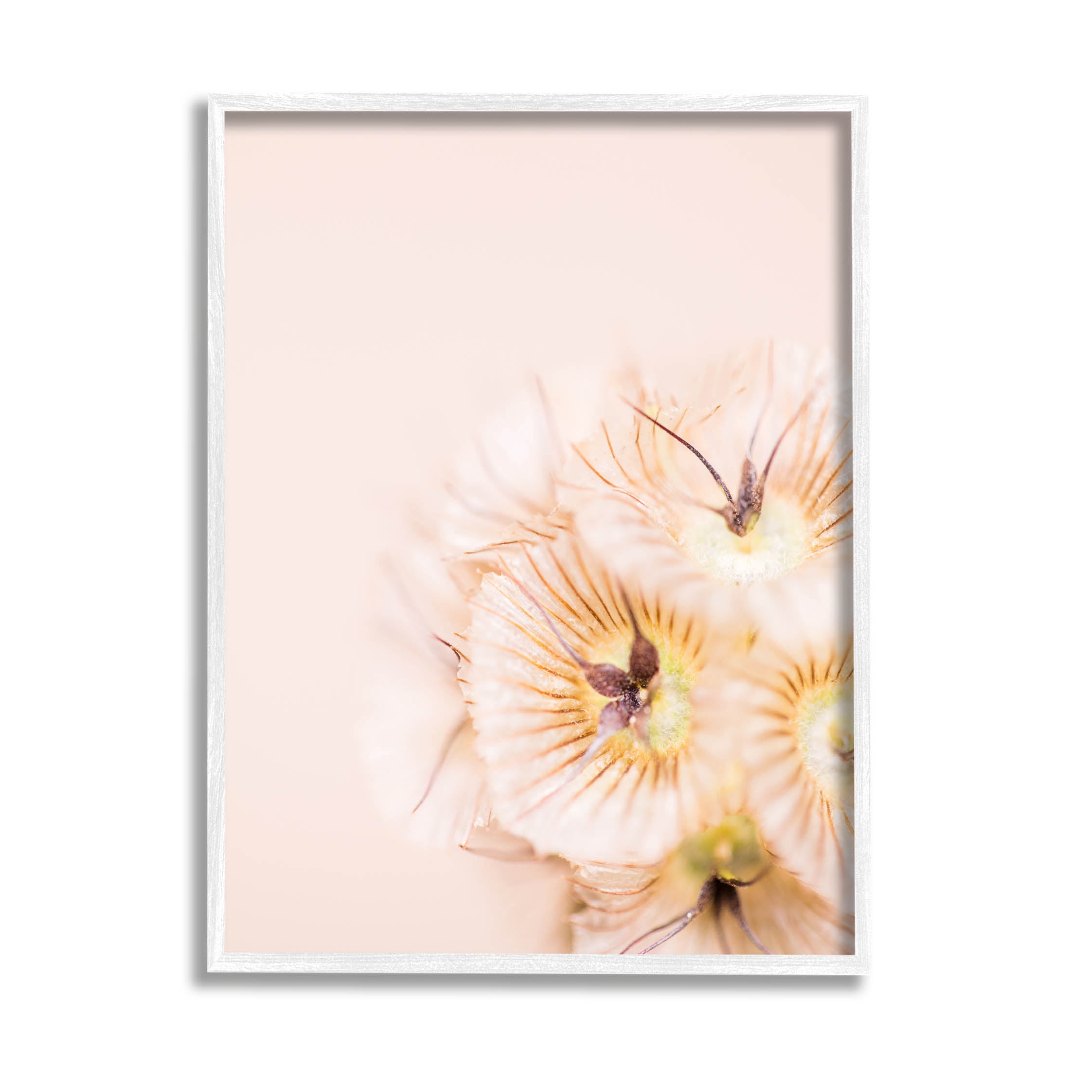Close Up Pink Flower Anther Botanical & Floral Photograph White Framed Art Print Wall Art