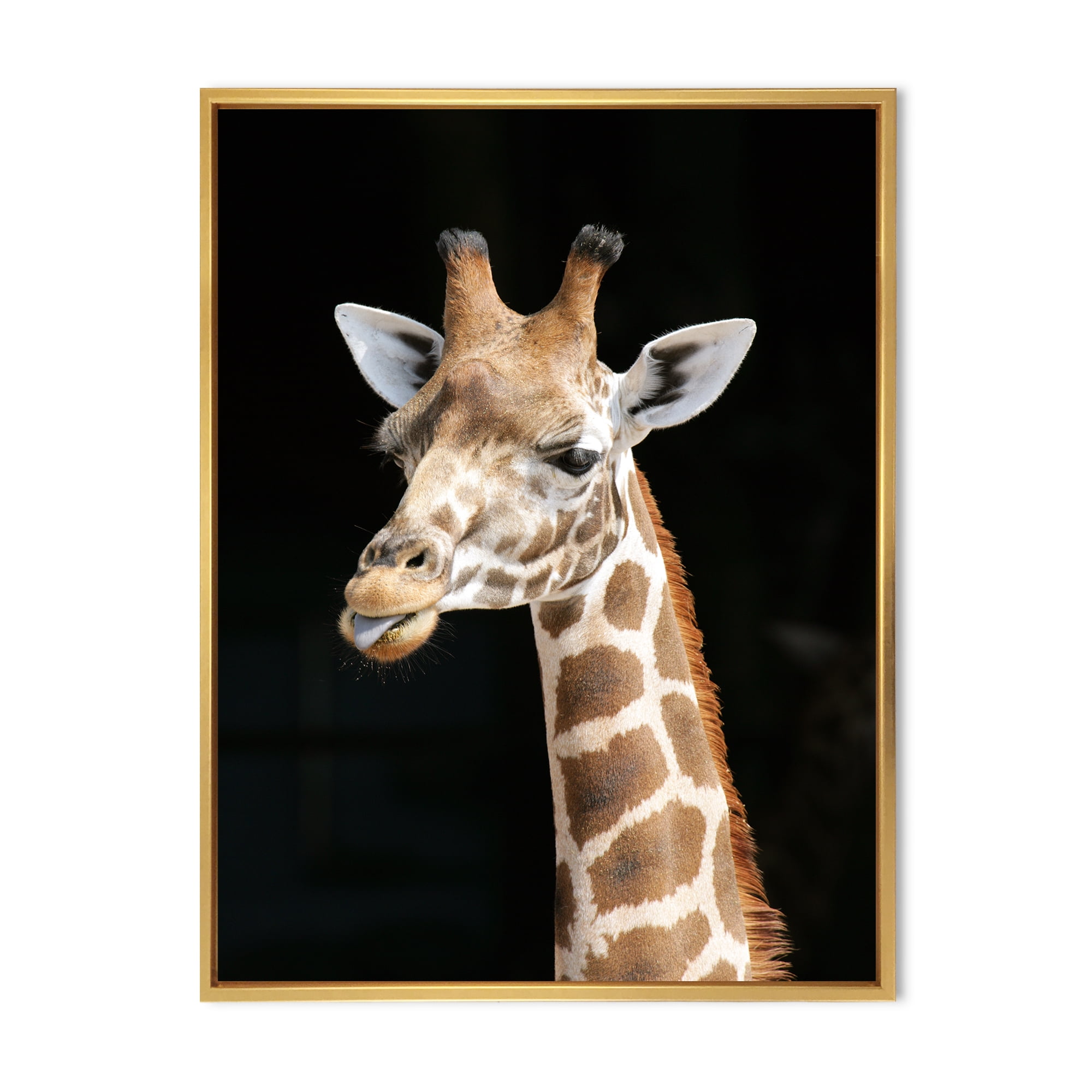 Close Up Portrait Of A Giraffe On Black III 16 in x 32 in Framed Painting Canvas Art Print, by Designart
