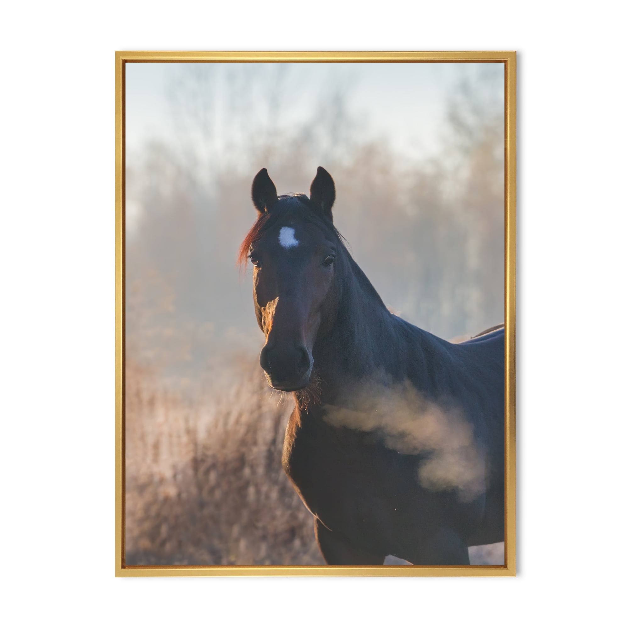 Close Up Portrait Of A Horse On An Autumn Morning 30 in x 40 in Framed Photography Canvas Art Print, by Designart