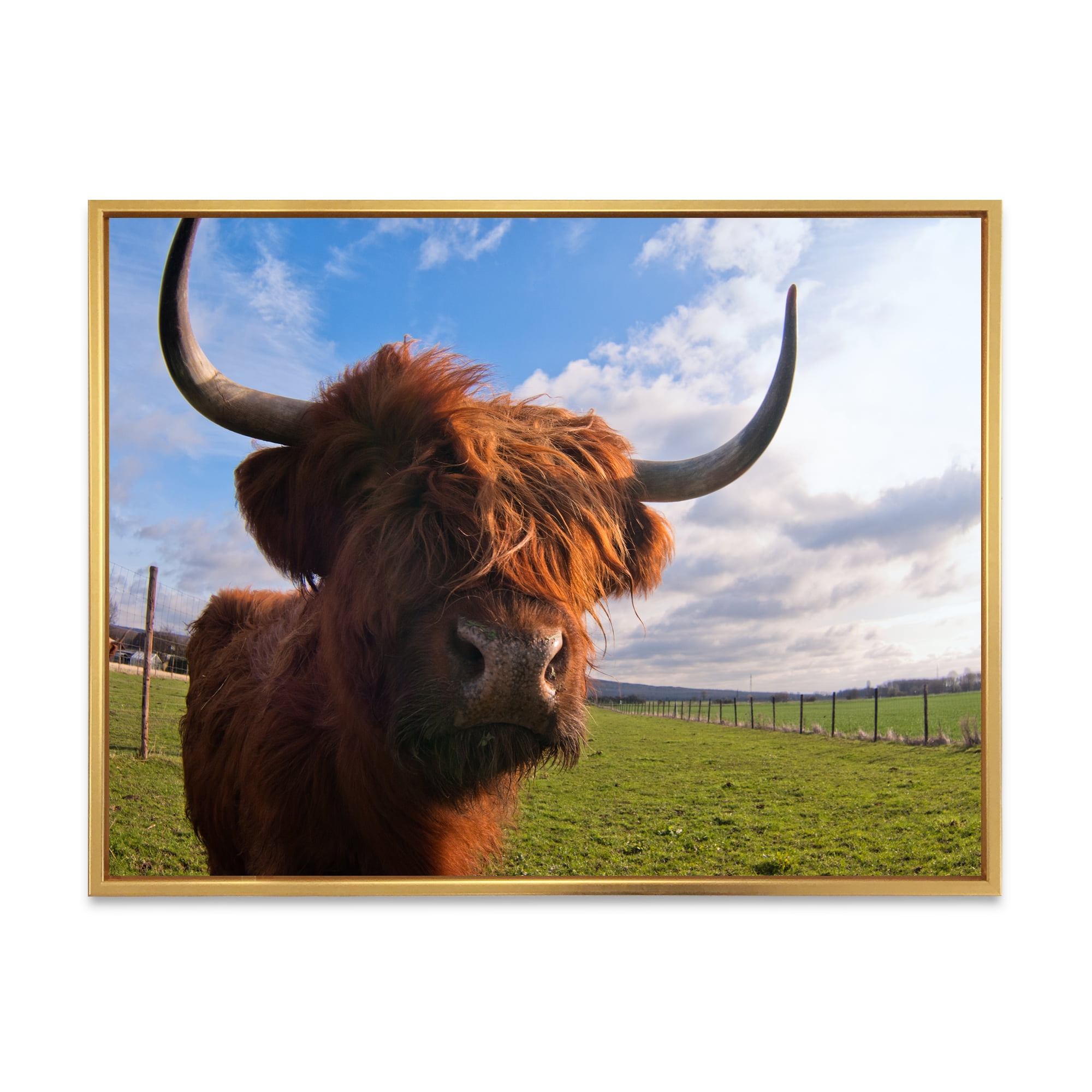 Close Up Portrait Of A Yak 20 in x 12 in Framed Painting Canvas Art