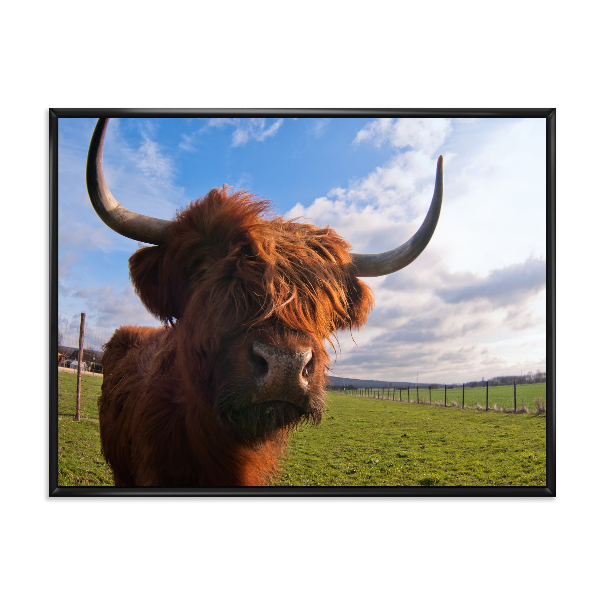 Close Up Portrait Of A Yak 32 in x 16 in Framed Photography Canvas Art Print, by Designart