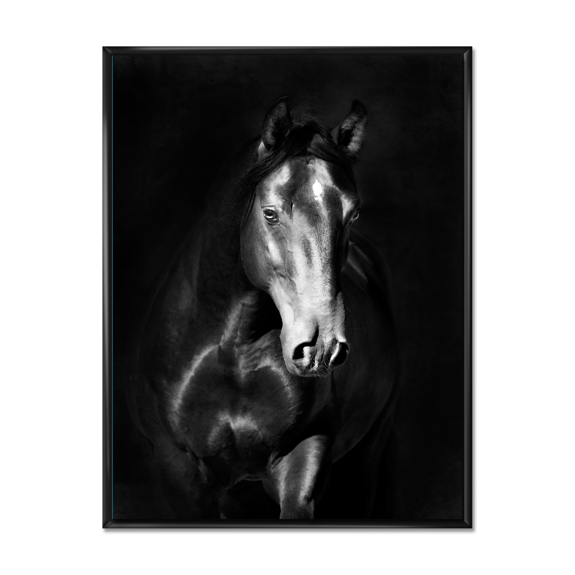 Close Up Portrait Of Black Kladruby Horse 30 in x 40 in Framed Photography Canvas Art Print, by Designart