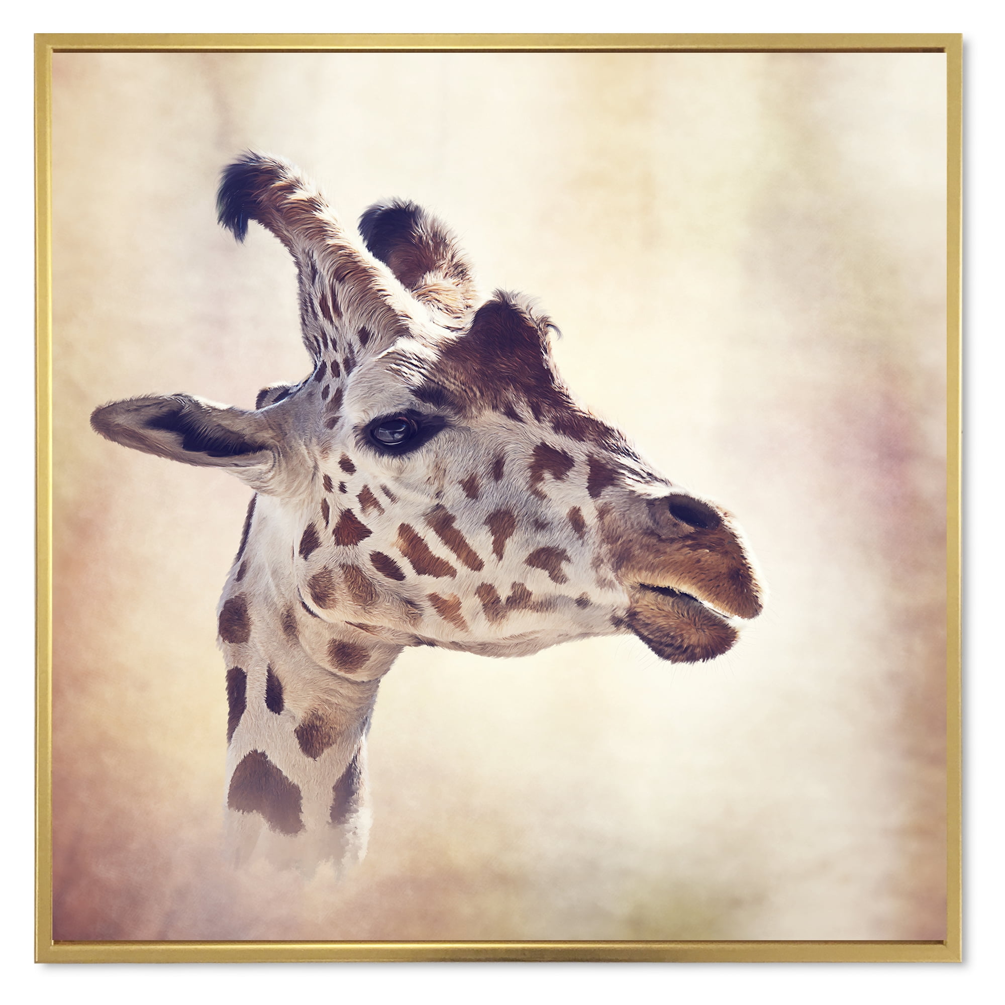 Close Up Portrait of A Giraffe VII 36 in x 36 in Framed Photography Canvas Art Print, by Designart
