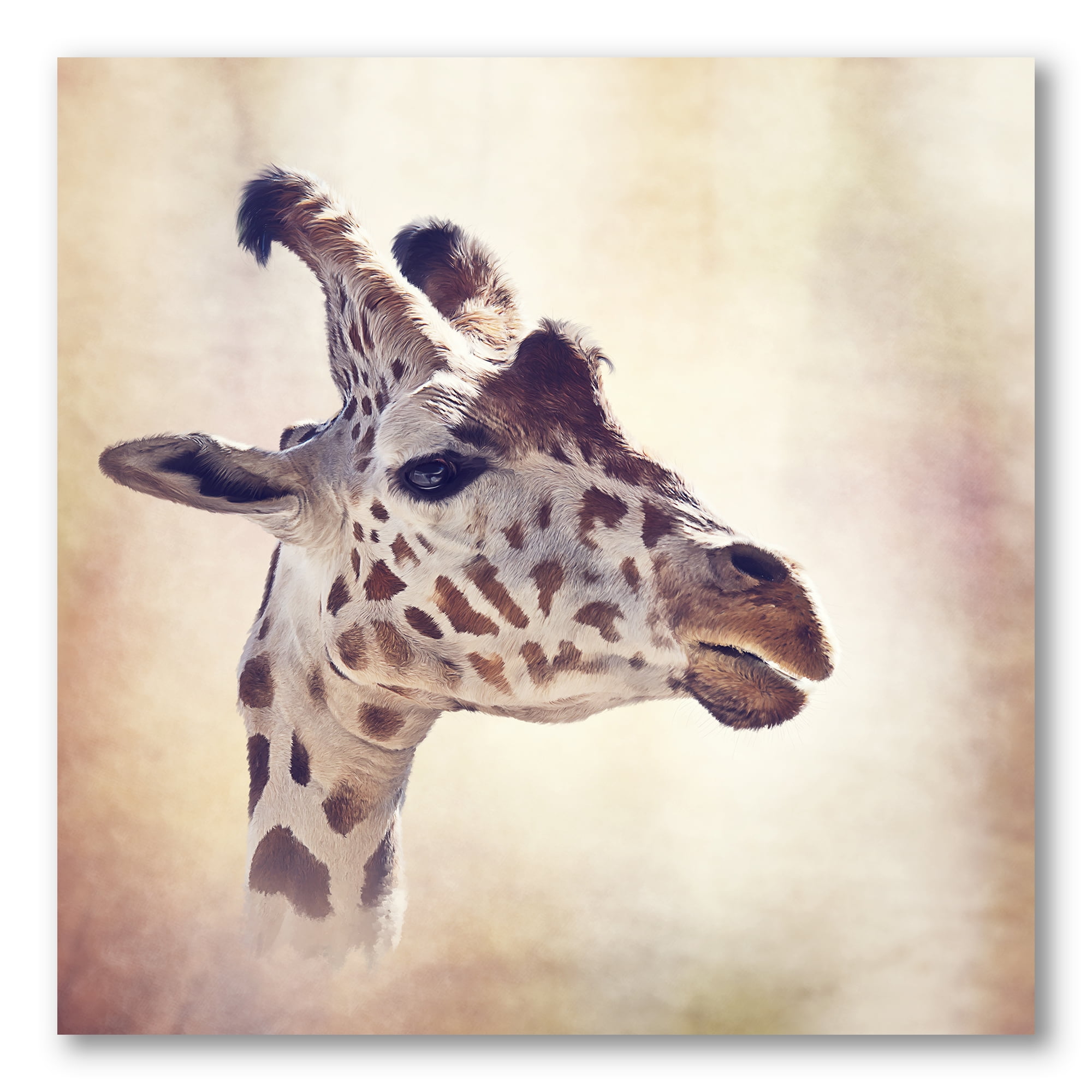 Close Up Portrait of A Giraffe VII 36 in x 36 in Photography Canvas Art Print, by Designart